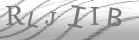captcha-2